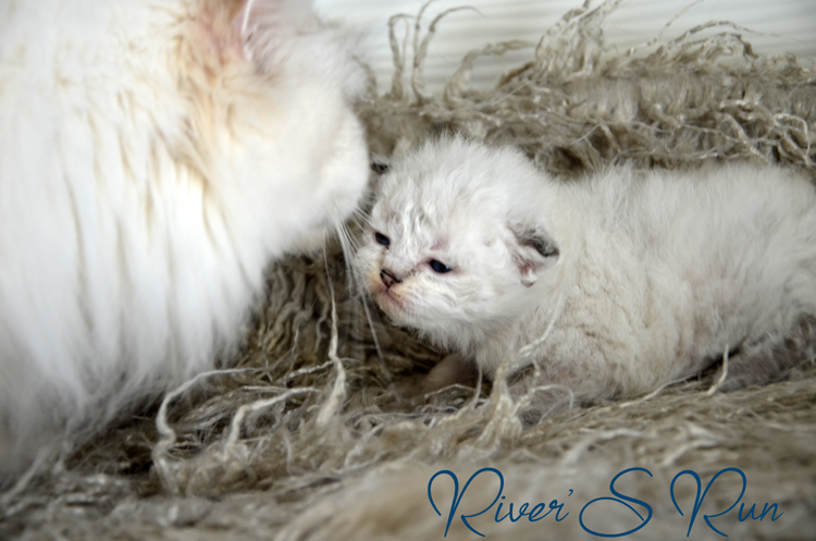 Victoria 27.janvier 2024 (4).jpg